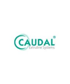 logo caudal